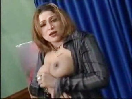 يكس مترجم عربي